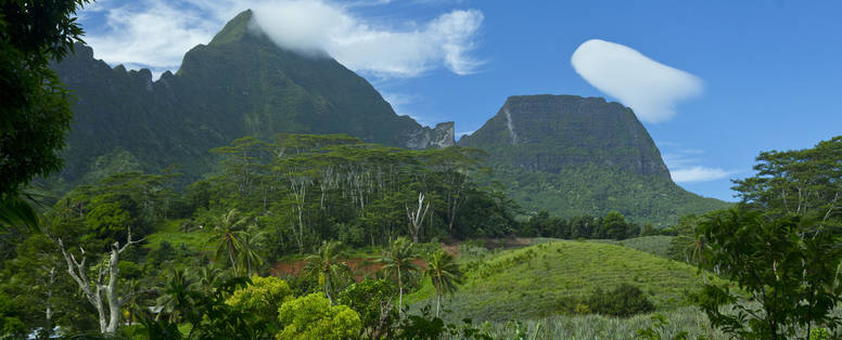 P2_08_MOOREA_00757