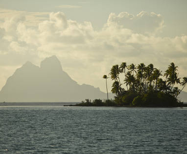 P2_08_TAHAA_01896