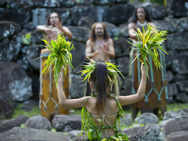P2_04_HIVA_OA_00471