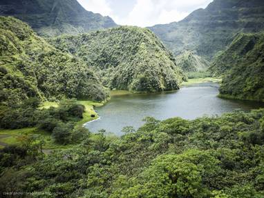 P2_08_TAHITI_Divers_TNH_(206)_©_Grégoire_Le_Bacon_Tahiti_Nui_Helicopters_(1)
