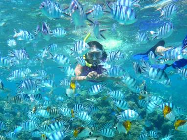 Snorkeling_Bora_Bora