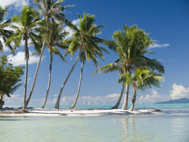 Tahaa_-_Vahine_Island_Public_Areas_49