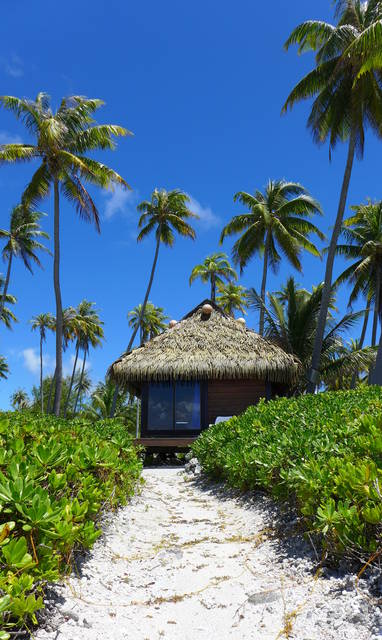 Fakarava_Raimiti_Crusoe_13