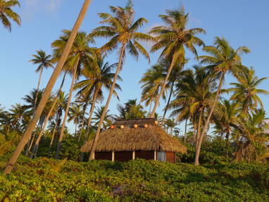 Fakarava_Raimiti_Crusoe_14