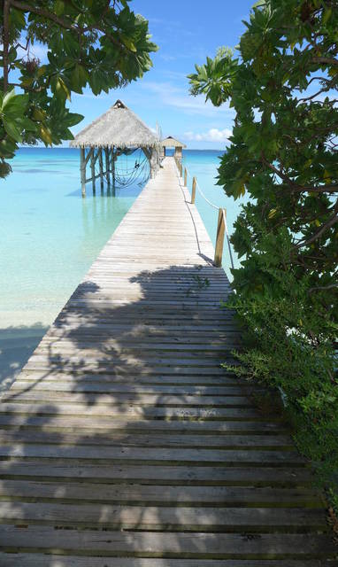 Havaiki_Lodge_Beach_and_Pontoon_25