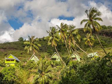 UAH_Mana_Tupuna_General_(1)