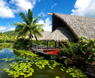 44884789445_6c6bb24dd1_o