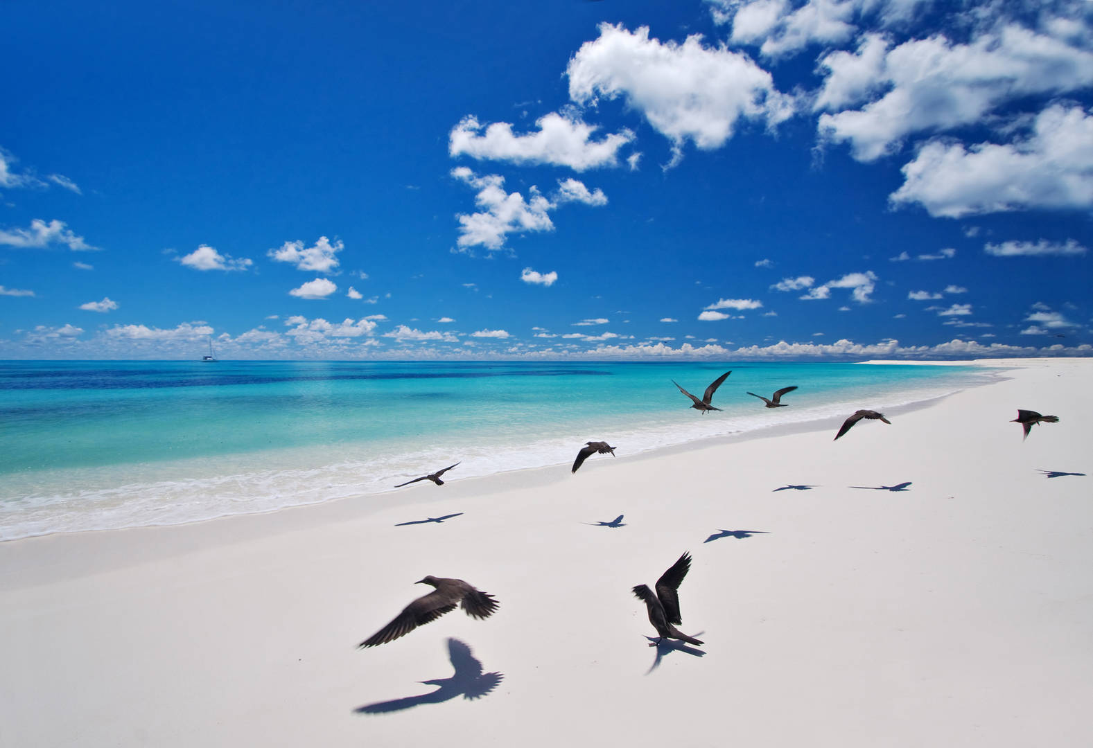 Bird Island Bird Island Lodge Seychellen privé eiland