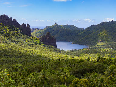 40227526634_d60d4c385e_o