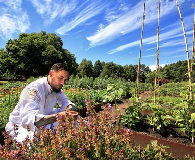 10_-_Chef_Damian_picking_fresh_greens