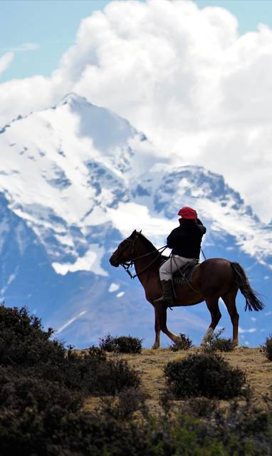 CAB.LAG.FLAM.DSC08889