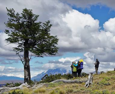 CAM.MIR.EST.DSC08653