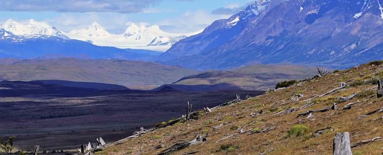 CAM.MIR.EST.DSC08668