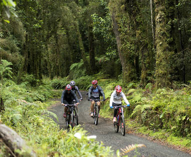 active-Laguna-Pichi-Trail