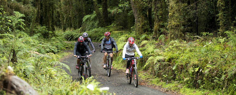 active-Laguna-Pichi-Trail