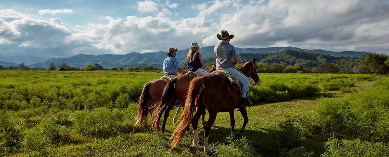 097_House_of_Jasmines