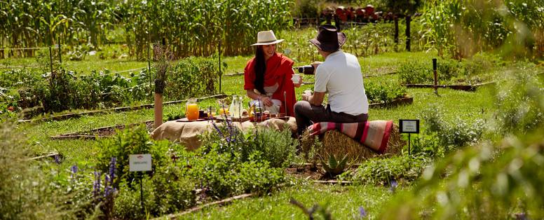 101_House_of_Jasmines