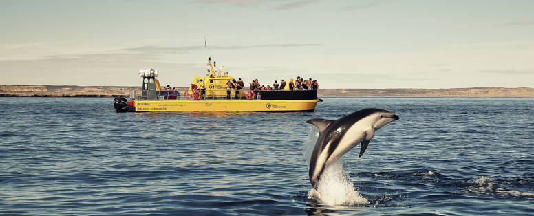 YS_Marisa_Berzano_Delfin