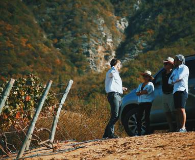 Tour_in_the_Vineyards