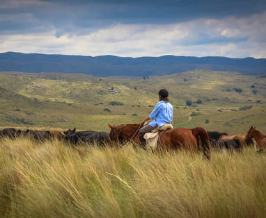 photo_shoot_(1_of_1)-7