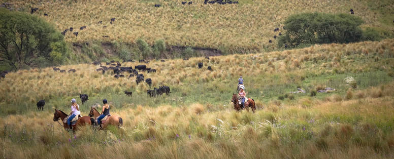 photo_shoot_(1_of_1)-33