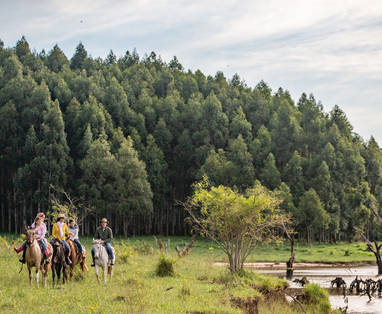 34_Horseback_riding