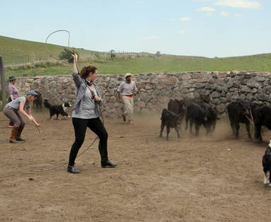 Guest_lassoing_LMB_(6)