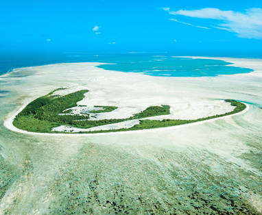 BlueSafari-alphonse-st-francois-01_(1)