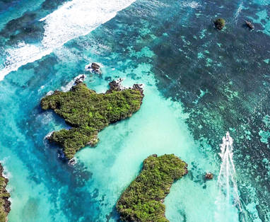 BlueSafari-cosmoledo-scenic-11_(1)