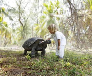 DES-50-00C-OT05H-Recreational_Activities_-_turtle_1