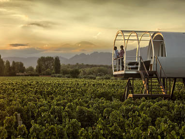 Panoramica_vinedo_y_atardecer