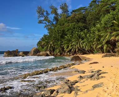 WP_20190723_08_04_48_Silhouette_Island
