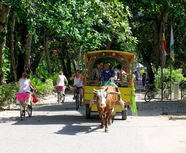 STB_3_Oxcart_La_Digue