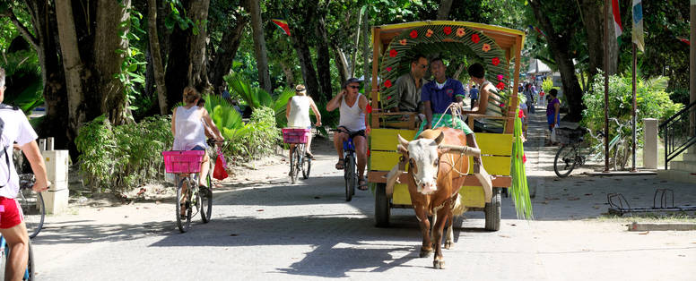 STB_3_Oxcart_La_Digue