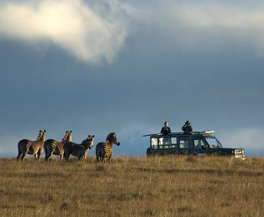 Malawi | Nyika Plateau | safari