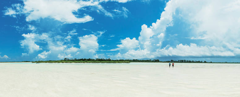 BlueSafari-astove-scenic-04-mjones