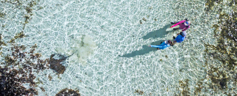 BlueSafari-alphonse-guided-walks-10-AnthonyGrote