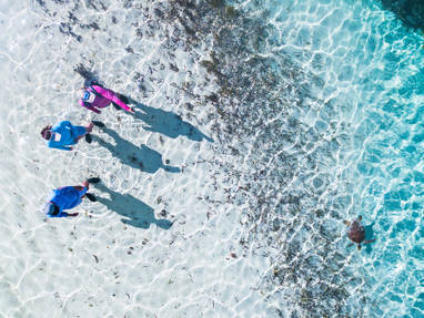 BlueSafari-alphonse-guided-walks-11-AnthonyGrote