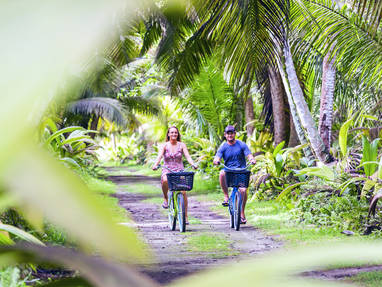 BlueSafari-alphonse-cycling-02-AnthonyGrote