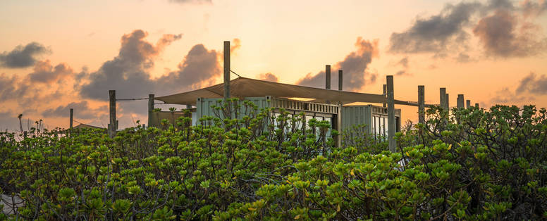 BlueSafari-cosmo-beach-cabanna-01