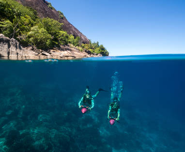 North-Island-SnorkellingTheReefs