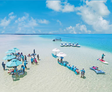 BlueSafari-alphonse-flats-lunch-13-AnthonyGrote