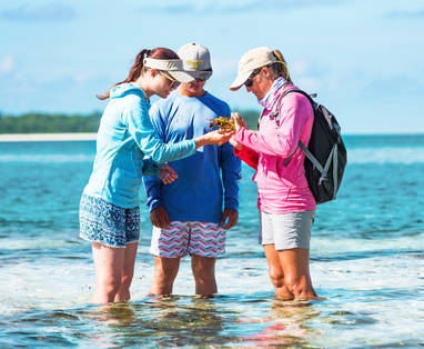 BlueSafari-alphonse-guided-walks-09-AnthonyGrote