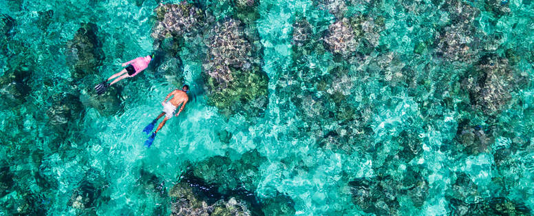 BlueSafari-alphonse-snorkelling-05-AnthonyGrote