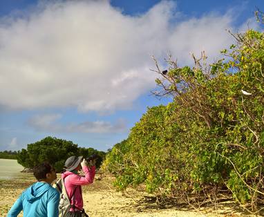 MB_WP_20190719_eldorado_voor_vogelaars