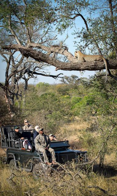 Rock_Fig_077_gespiegeld