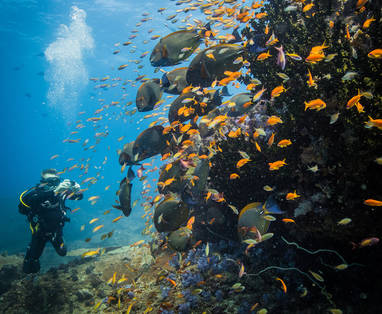 Azura_Marlin_Beach_-_diving