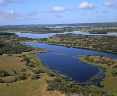 MSR_Lakes___Savannahs