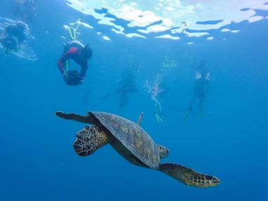 Kitesup-Cook-Islands-