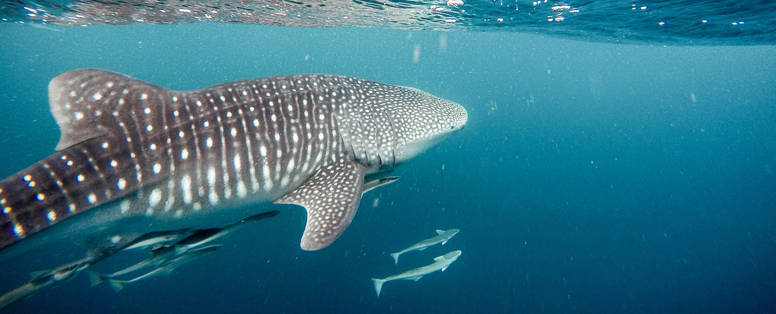 jeremy-bishop-q9c4xqf80Y4-unsplash_(2)